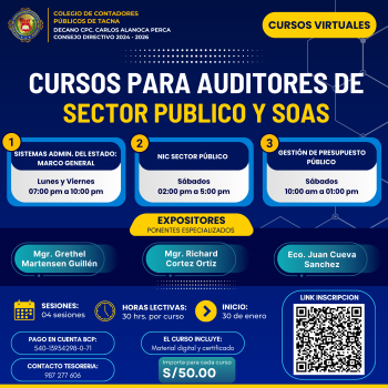 CURSOS VIRTUALES PARA AUDITORES DEL SECTOR PÚBLICO Y SOAS